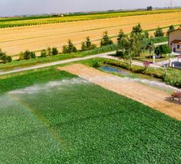 Aumente a produtividade na agricultura com a tecnologia de Irrigação Inteligente