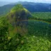 Descubra as curiosidades mais surpreendentes sobre a fauna amazônica