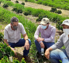 Os benefícios econômicos da agricultura sustentável para produtores rurais