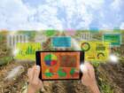 A importância dos sensores agrícolas para a agricultura moderna
