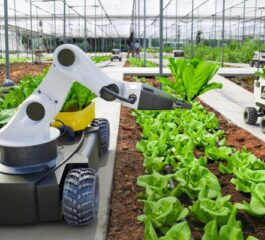 Uso de Robôs na Colheita: A Automatização dos Processos Agrícolas