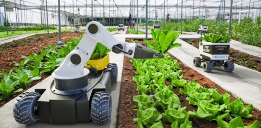 Uso de Robôs na Colheita: A Automatização dos Processos Agrícolas